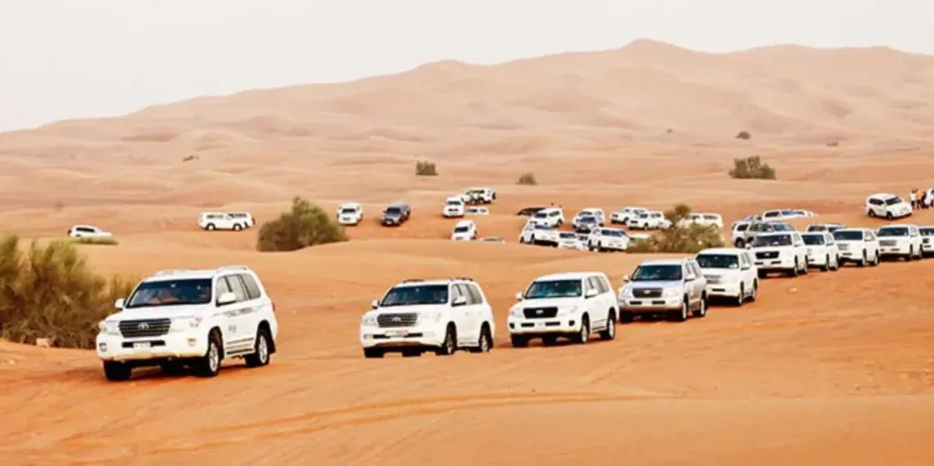 vip desert safari dubai